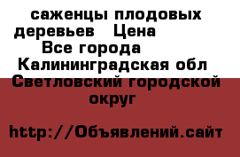 саженцы плодовых деревьев › Цена ­ 6 080 - Все города  »    . Калининградская обл.,Светловский городской округ 
